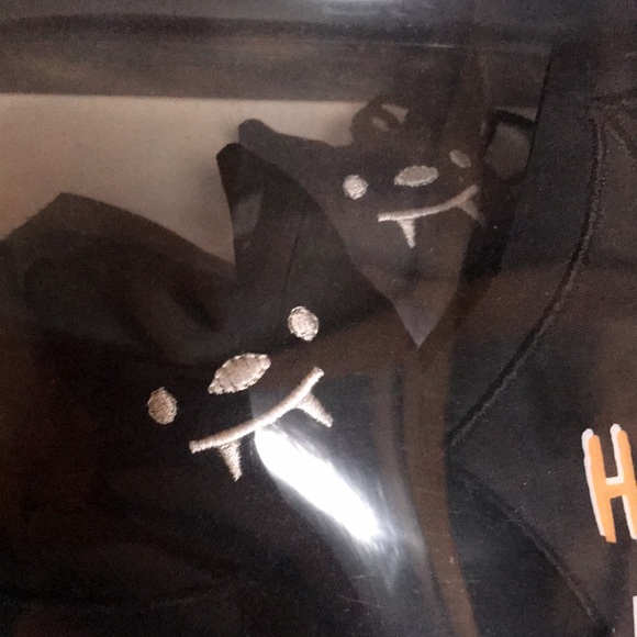 Pottery Barn kids Spooky and Cute Embroidered Hanging Bats, Set Of 6 🦇SOLD OUT! - Picture 14 of 16